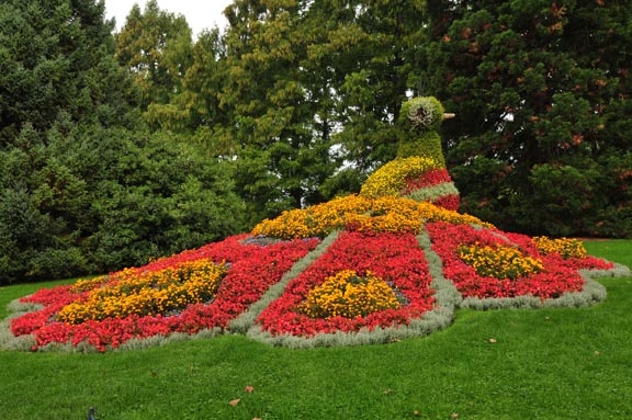 Flower peacock on Mainau Island